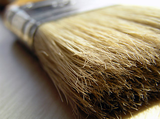 Image showing brush