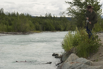 Image showing Fish near the shore