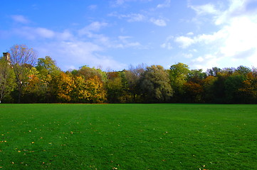 Image showing autumnal forest un der blue sky