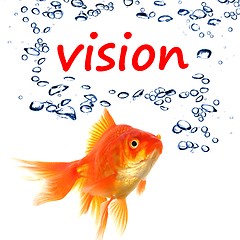 Image showing vision