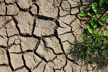 Image showing dry soil