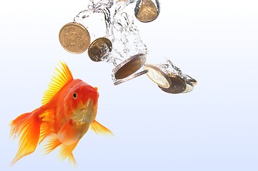 Image showing goldfish and money