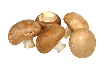 Image showing brown champignon