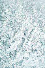 Image showing frozen window background