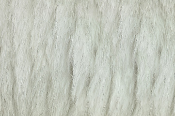 Image showing fox fur