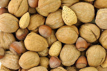 Image showing Mixed nuts background 