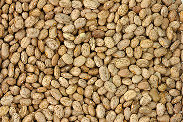 Image showing pinto beans background 