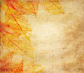 Image showing Skeleton leaves grunge  background 