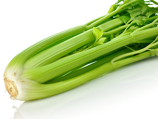 Image showing celery 