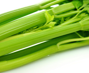 Image showing celery 