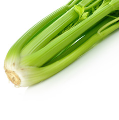 Image showing celery 