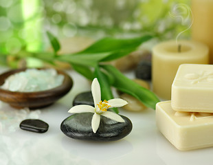 Image showing Spa treatments