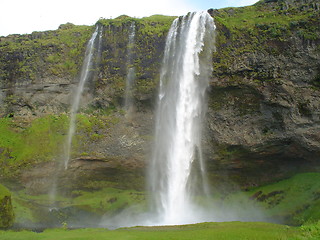 Image showing Seljalandsfoss in Iceland