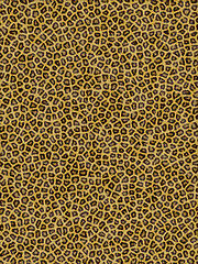 Image showing Leopard pattern