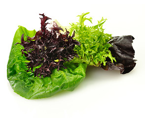 Image showing fresh salad leaves assortment 