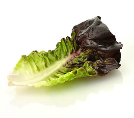 Image showing red lettuce leaf 