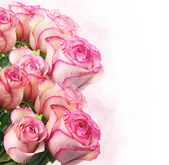 Image showing pink fresh roses 