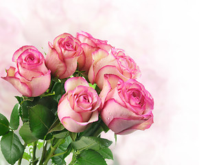 Image showing pink fresh roses 