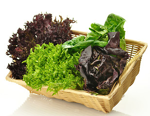 Image showing fresh salad leaves assortment