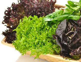 Image showing fresh salad leaves assortment