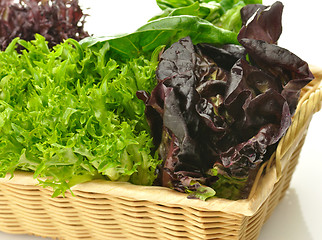 Image showing fresh salad leaves assortment 