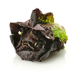 Image showing red lettuce 