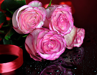 Image showing pink roses