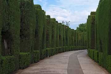 Image showing Curved pathway in the famous gardens of Alhambra 