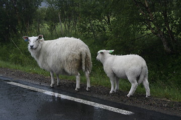 Image showing walking by the road