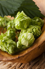 Image showing Hop cone and leaves