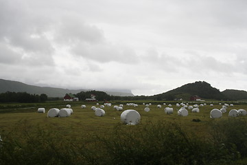 Image showing farm
