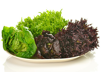 Image showing fresh salad leaves assortment on a plate 