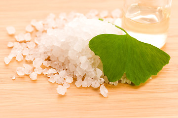 Image showing fresh leaves ginko biloba essential oil and sea salt - beauty tr