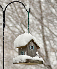 Image showing bird feeder in the winter park 