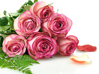 Image showing pink roses 