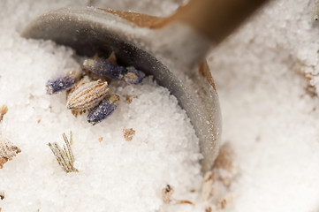 Image showing Lavender Sugar