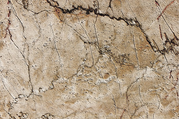 Image showing The detail of stone texture 
