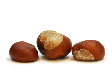 Image showing Chestnut fruit