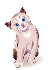 Image showing  hand drawn portrait of blue-eyed  little kitten. Thai kitten si