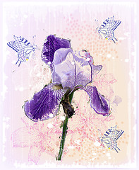 Image showing grunge Illustration of  iris flower 