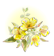 Image showing yellow field flowers