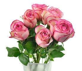 Image showing pink roses 