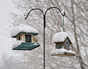 Image showing bird feeders in the winter park
