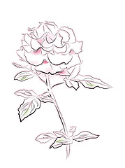 Image showing vintage illustration of pink rose