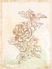 Image showing hand drawn vintage sketch of  rose