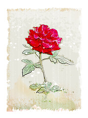 Image showing vintage red rose