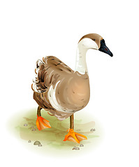 Image showing Walking domestic goose.Watercolor style