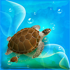 Image showing turtles family swimming in the ocean 