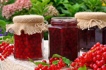 Image showing Jars of homemade red currant jam with fresh fruits