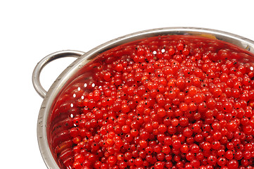 Image showing Fresh red currant berries with water drops in colander - isolated